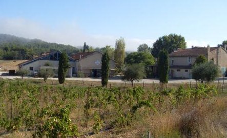 Randonne gourmande en Luberon avec Annie